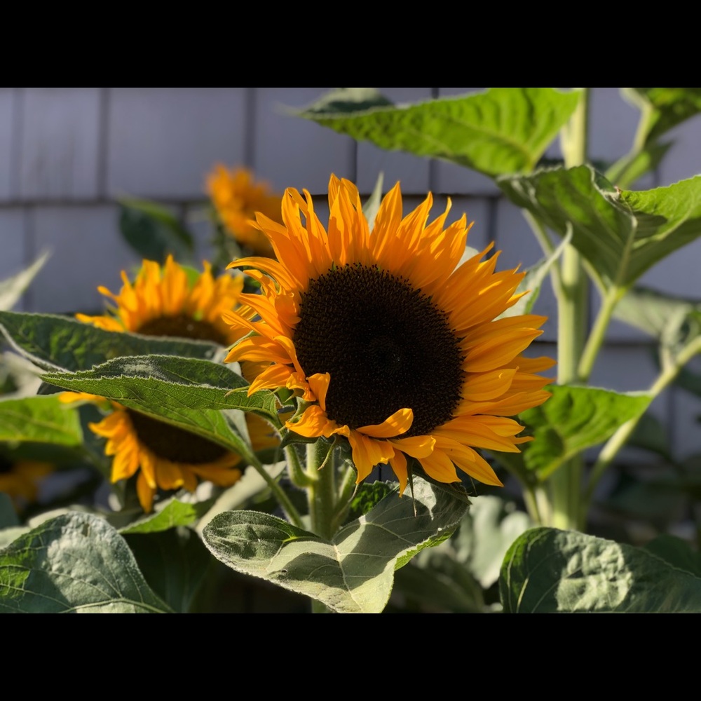 Meet your Posher, Terri